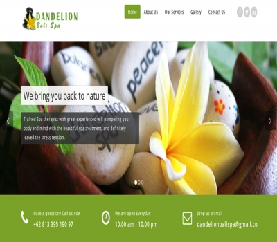 Jual Website Spa Di Bali